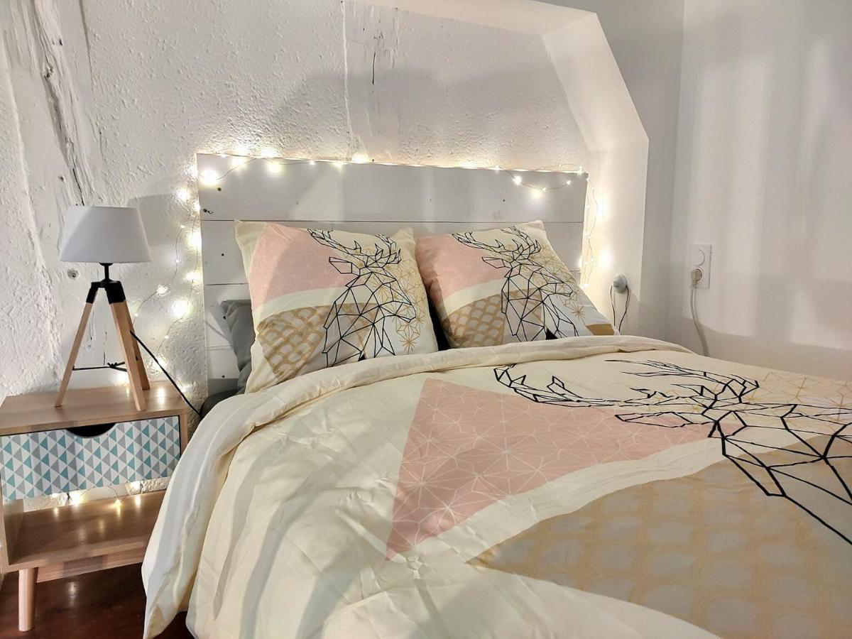 Apartmán Le Temps Suspendu - Au Coeur D'Albi Exteriér fotografie